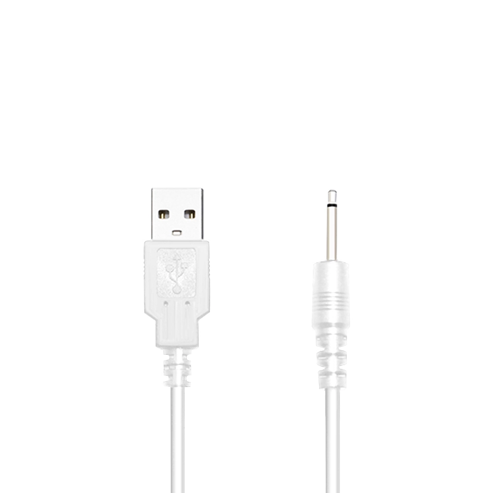 Lovense Câble Chargeur avec Prise USB